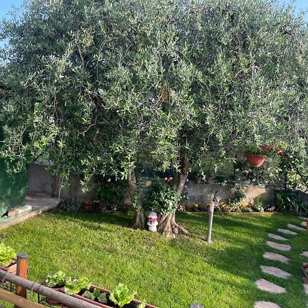 Casa Vacanze Collina Del Lago Pastrengo Zewnętrze zdjęcie